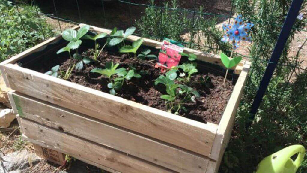 diy wooden pallet planter